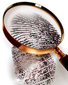 Background Check